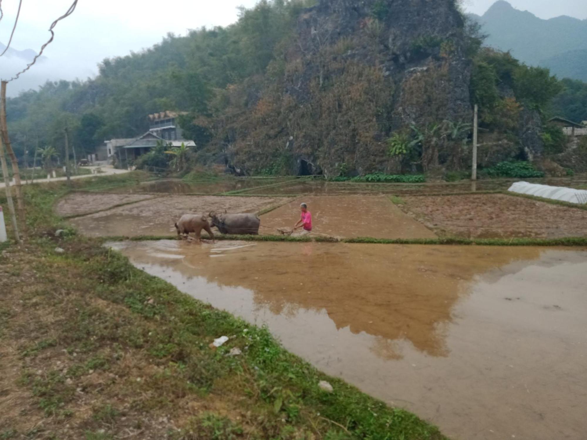 Truong Huy Homestay Mai Chau Eksteriør billede